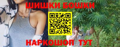 индика Гай