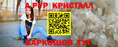 индика Гай