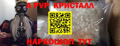 индика Гай