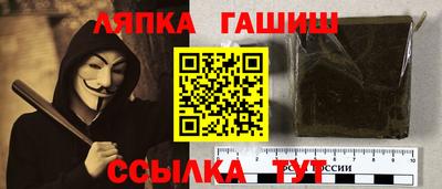 индика Гай