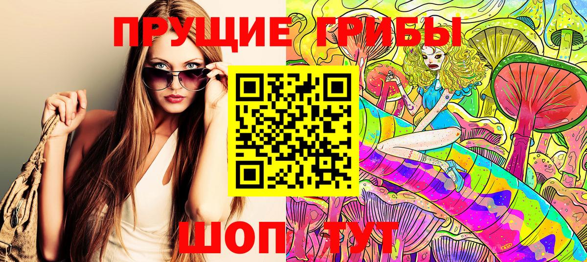Псилоцибиновые грибы Cubensis Мыски